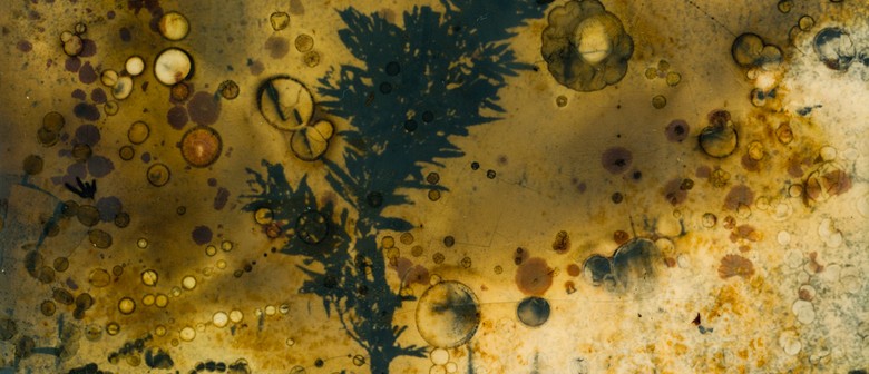 Tides of Change - Photographic Exhibition by Linda Jarrett
