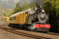 The Feilding Steam Explorer