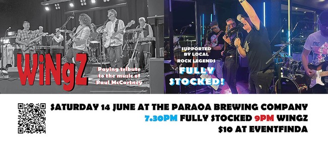 WiNgZ - Paul McCartney Tribute