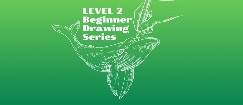 Level 2 Beginner Drawing Series