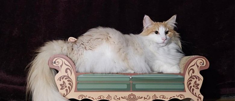 Cat Show