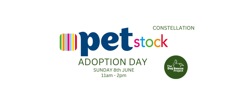 Adoption Day 