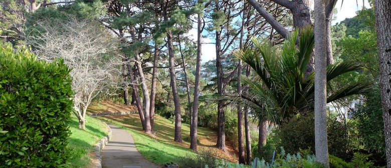Back to The Future - Guided Walk