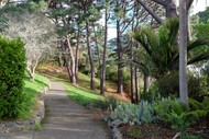 Back to The Future - Guided Walk