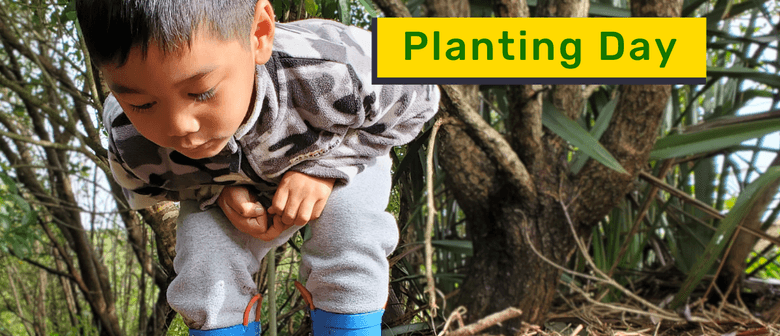 Clearwater Cove Planting Day