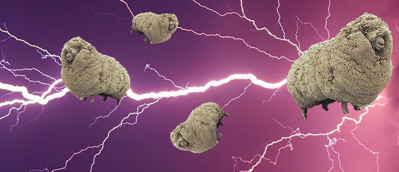 The Electric Sheep