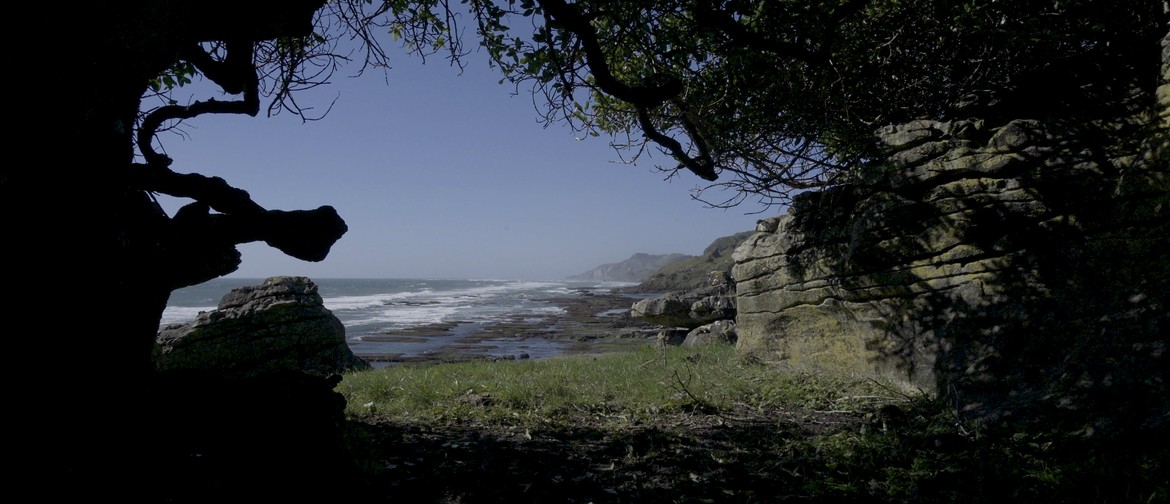 Lyrical Visions VII Te Hapu, A Still from A Thousand Voices