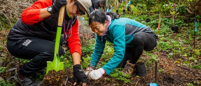 Pā Harakeke Community Planting Day with Kaipātiki Project