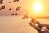 Learning From Life - Lunchtime Meditation Classes