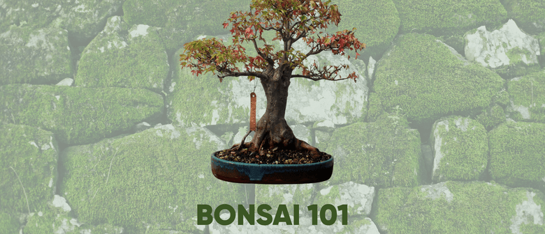 Bonsai 101