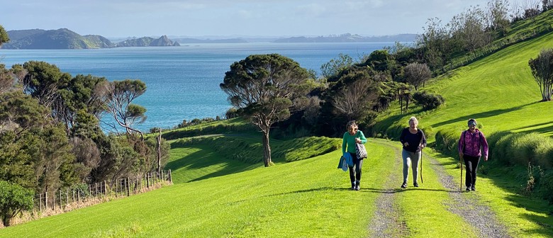 Walk 3 – The Pāroa Bay Vineyard – Friday Wine and Dine