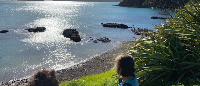 Walk 4 – The Pāroa Bay Vineyard – Lunch and Wine