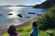 Walk 4 – The Pāroa Bay Vineyard – Lunch and Wine