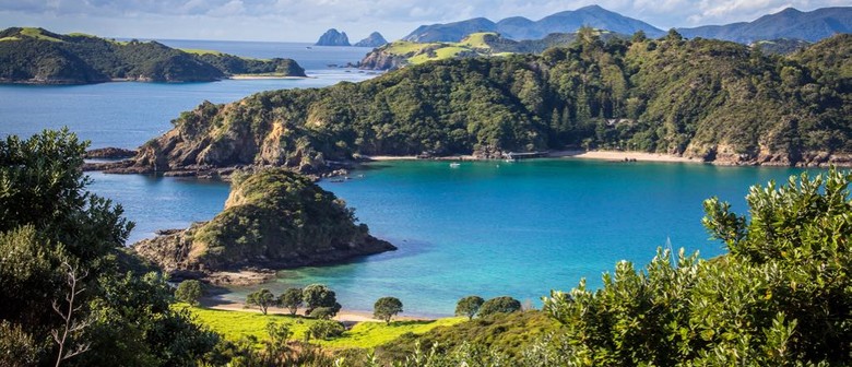 Walk 10 – Moturua Island - By Launch