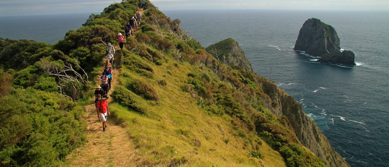 Walk 15 – Rakaumangamanga – Cape Brett Lighthouse Overnight Walk