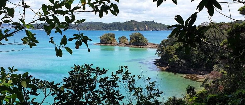 Walk 19 – Urupukapuka Island – The Ultimate Loop Walk
