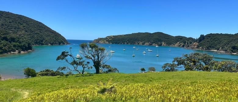Walk 16 – Whangamumu Whaling Station *NEW*