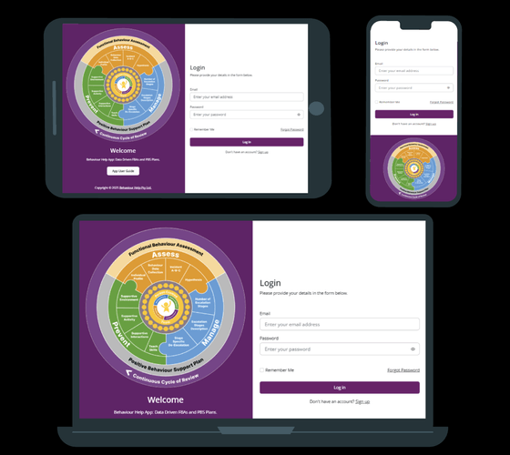 Positive Behaviour Support Plans and Functional Behaviour Assessment ...