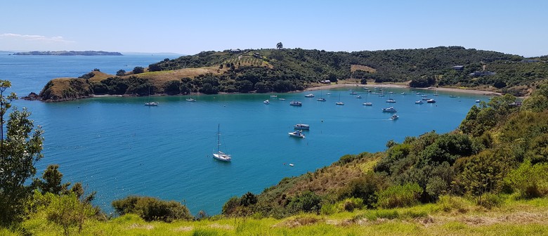Highlife NYE - Waiheke Island