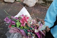 Conservation Kōrero: What We Leave Behind