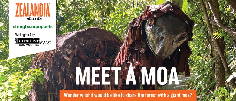 Meet The Moa!
