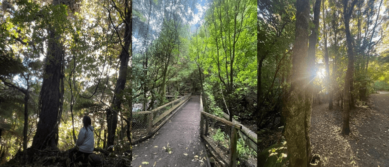 Mindful Walk & Talk