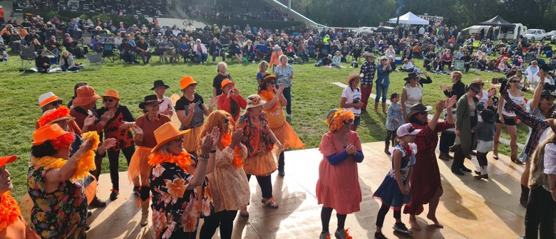 Wairarapa Music in the Country 2026