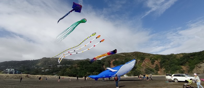 Giant Manu Tukutuku (Kites) 