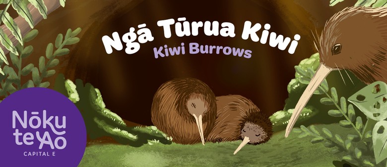 Ngā Tūrua Kiwi Play Space for Under 5s