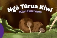 Ngā Tūrua Kiwi Play Space for Under 5s