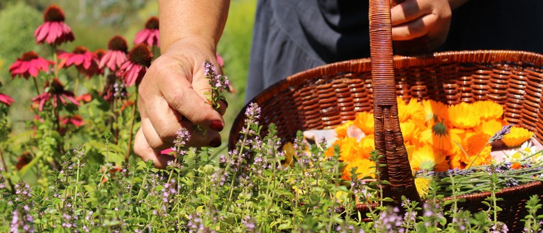 Wellness from your Pantry: Herbal Support for Cold and Flu