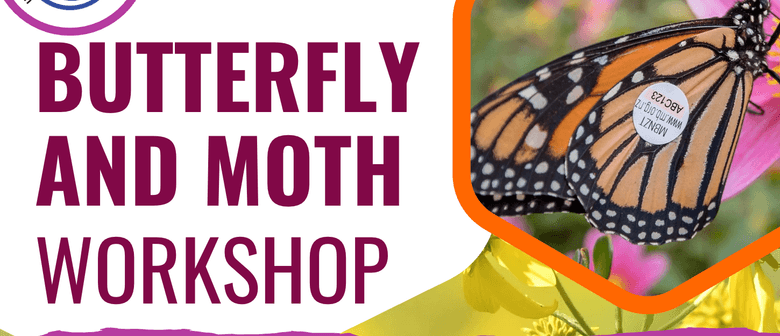 FREE Butterfly and Moth Workshop