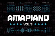 Amapiano Vol.5 - One Year Anniversary Party