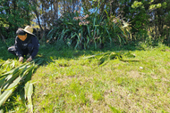Toitū Creating Space: Raranga Drop-in