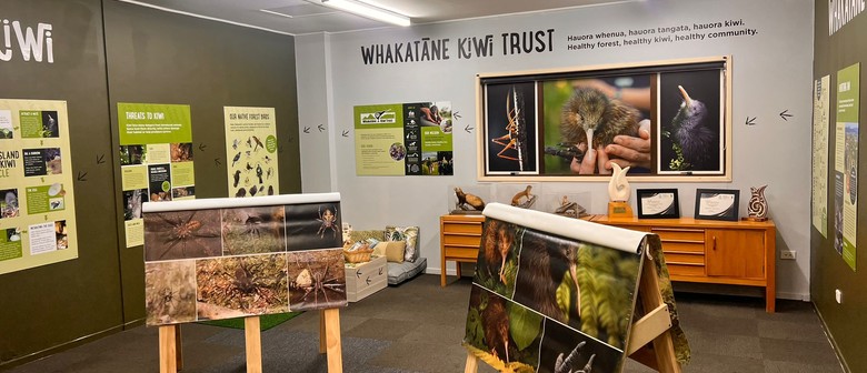 School Holiday Fun With the Whakatāne Kiwi Trust!