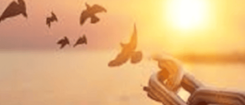 Learning From Life - Meditation Classes