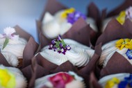 Kāpiti Food Fair 2025