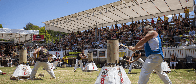 Puhoi Axemen Annual Woodchopping Carnival 2026