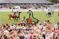 Lexus Urban Polo - Christchurch 2026