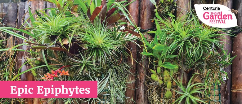 Mitre 10 Garden Speaker Series - Epic Epiphytes