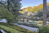 Sculptures and Their Stories - Guided Walk