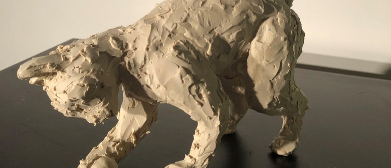 Sculpting for Beginners