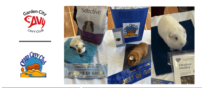 Guinea Pig Show 