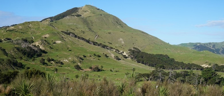 Gisborne Tramping Club, Titirangi, Ūawa