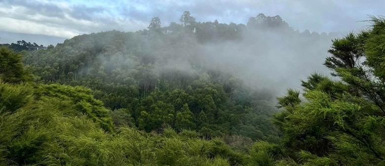 Gisborne Tramping Club, Mātokitoki Valley and QE 2 bush covenant