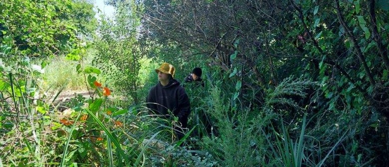 Waipapa Stream Regeneration Day with Kaipātiki Project