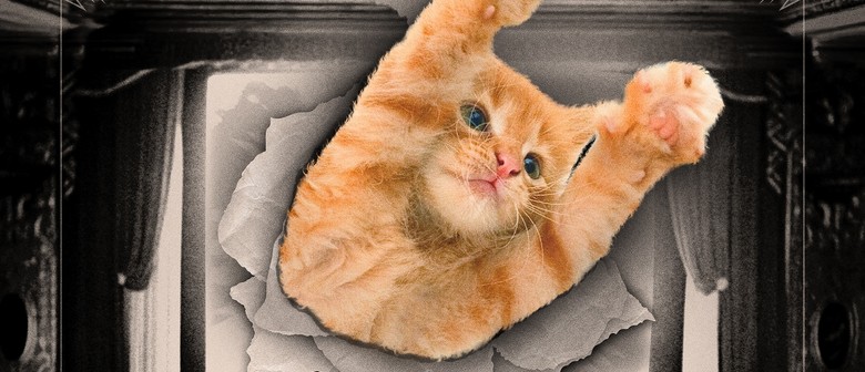 Cat Video Fest 2025