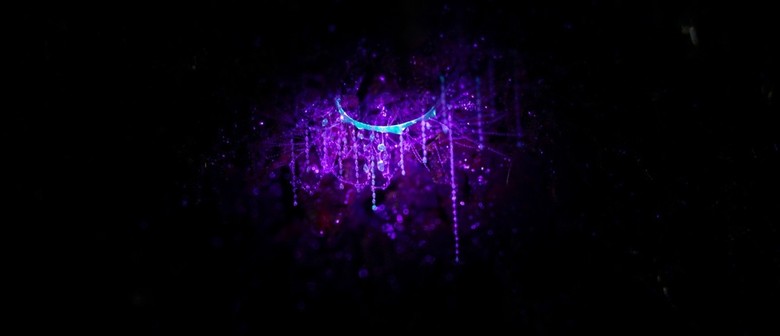 Glowworms illuminated in purple light