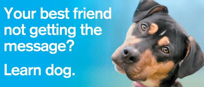 Dog Training Workshop