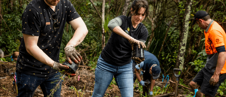 Stream Planting Day with Kaipātiki Project